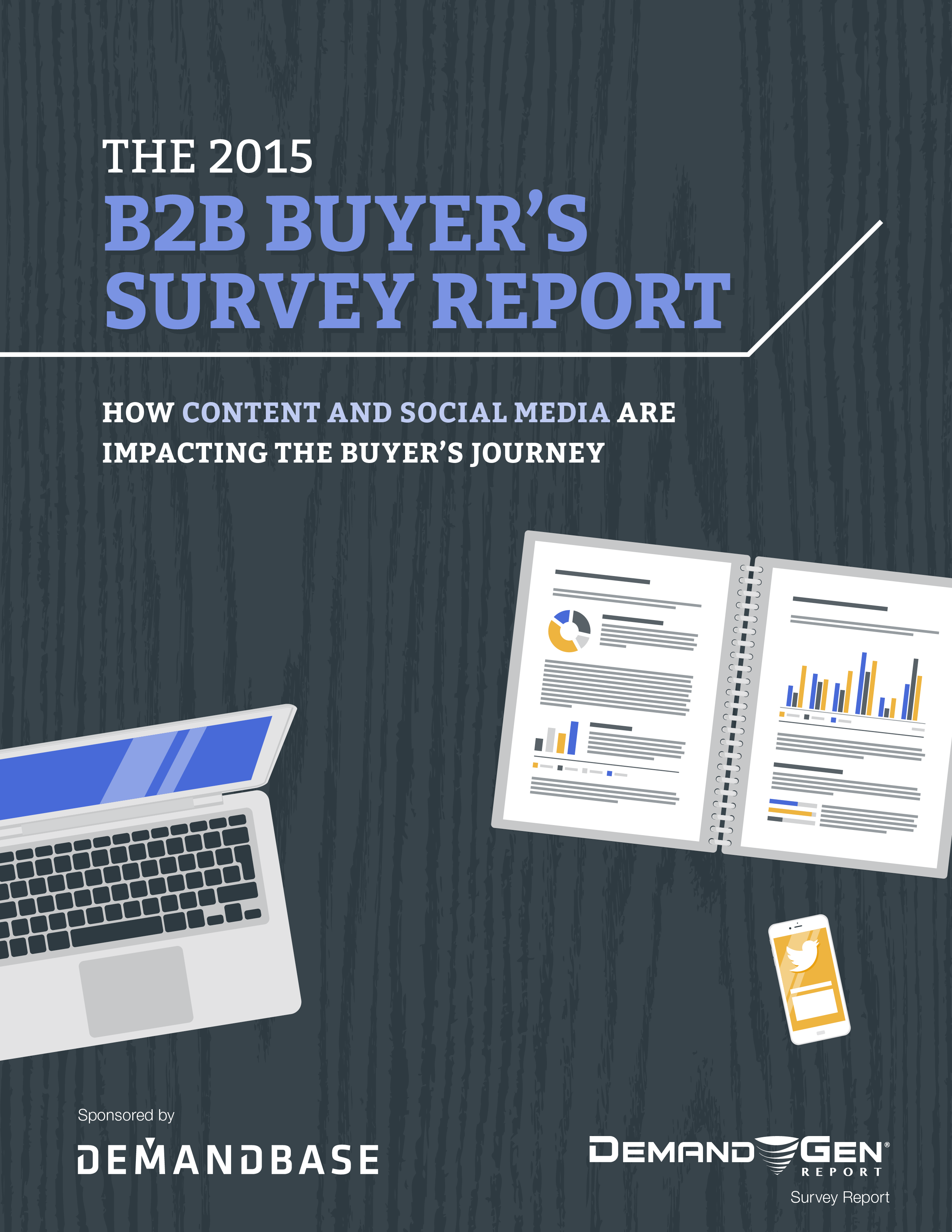 DGR DG0024 SURV B2B Buyers Survey Jun 2015