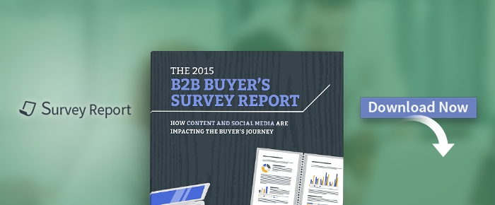 The 2015 B2B Buyer’s Survey Report