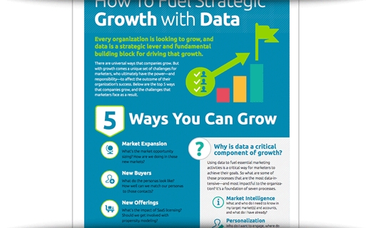 Fuel Strategic Growth With Data