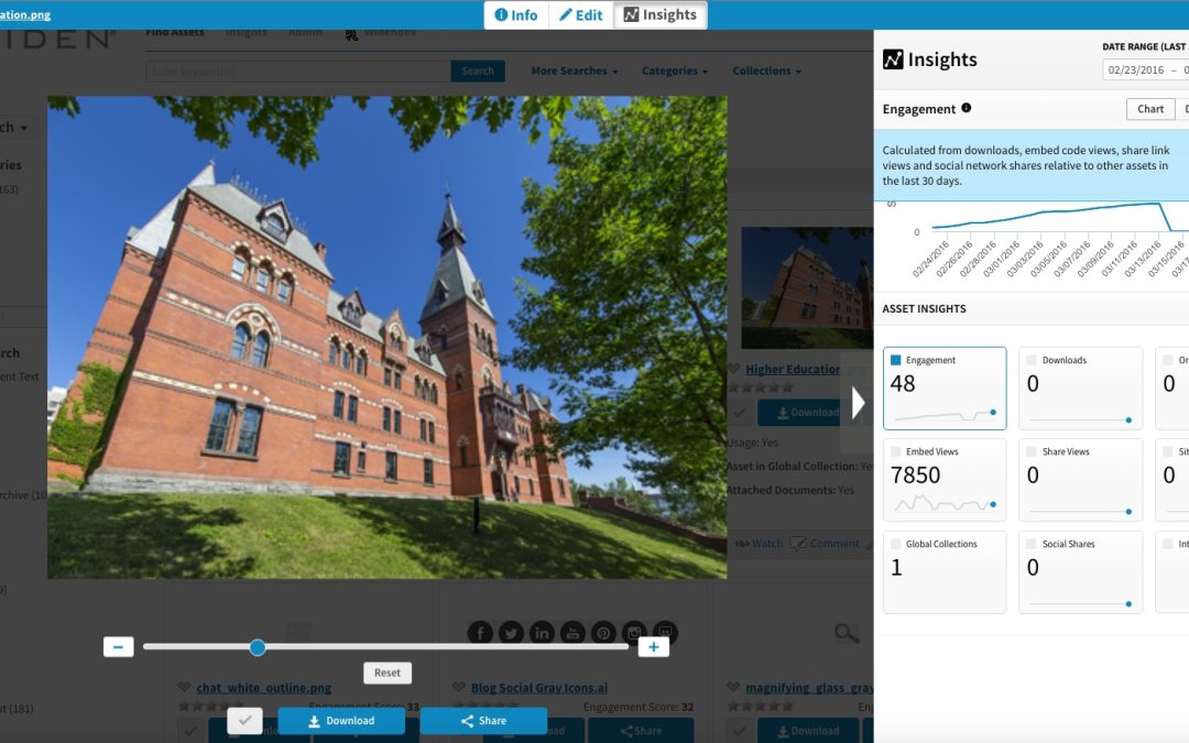 Widen Introduces Quick Insights Tool To Track Content Performance