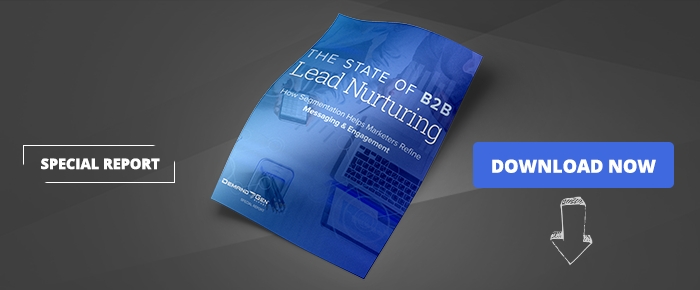 The 2017 State Of B2B Lead Nurturing