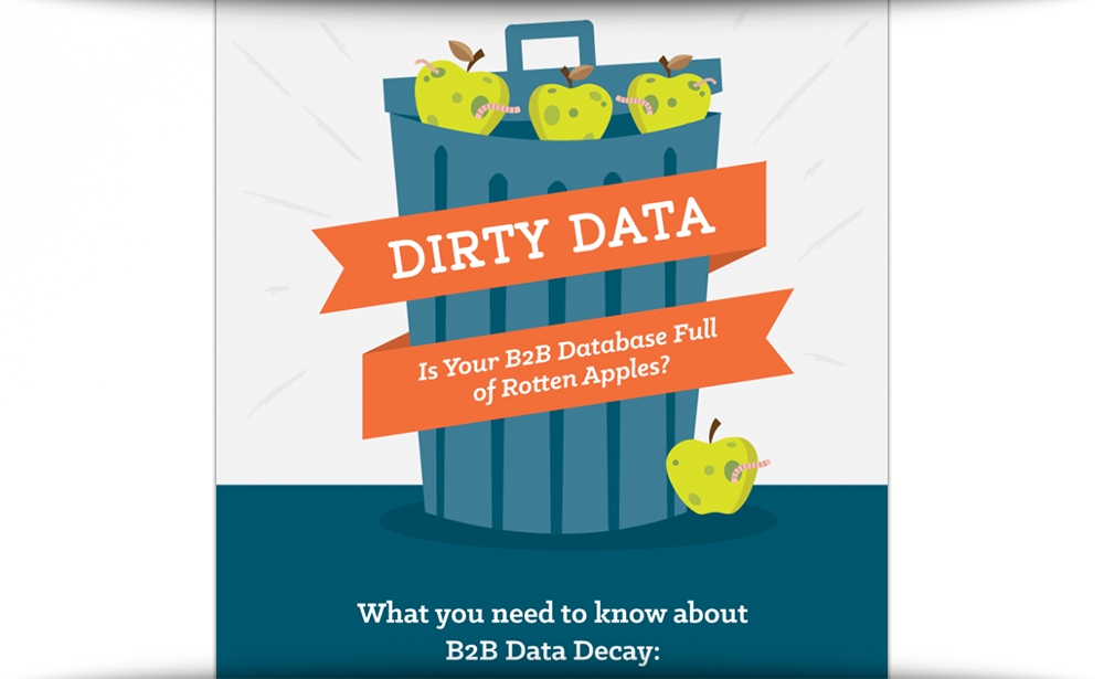 Data Decay & B2B Database Marketing